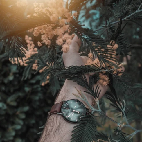 Pierre Lannier 209F434 Cuir Brun - Мъжки ръчен часовник с кварцов механизъм - корпус от Стомана - Естествена кожа - цвят Черен Кафяв