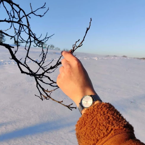 Pierre Lannier 353G628 Multiples - Дамски ръчен часовник с кварцов механизъм - корпус от Стомана - Меш - цвят Сребрист Сив